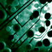 The Cultural Politics of the Life Sciences in Asia
